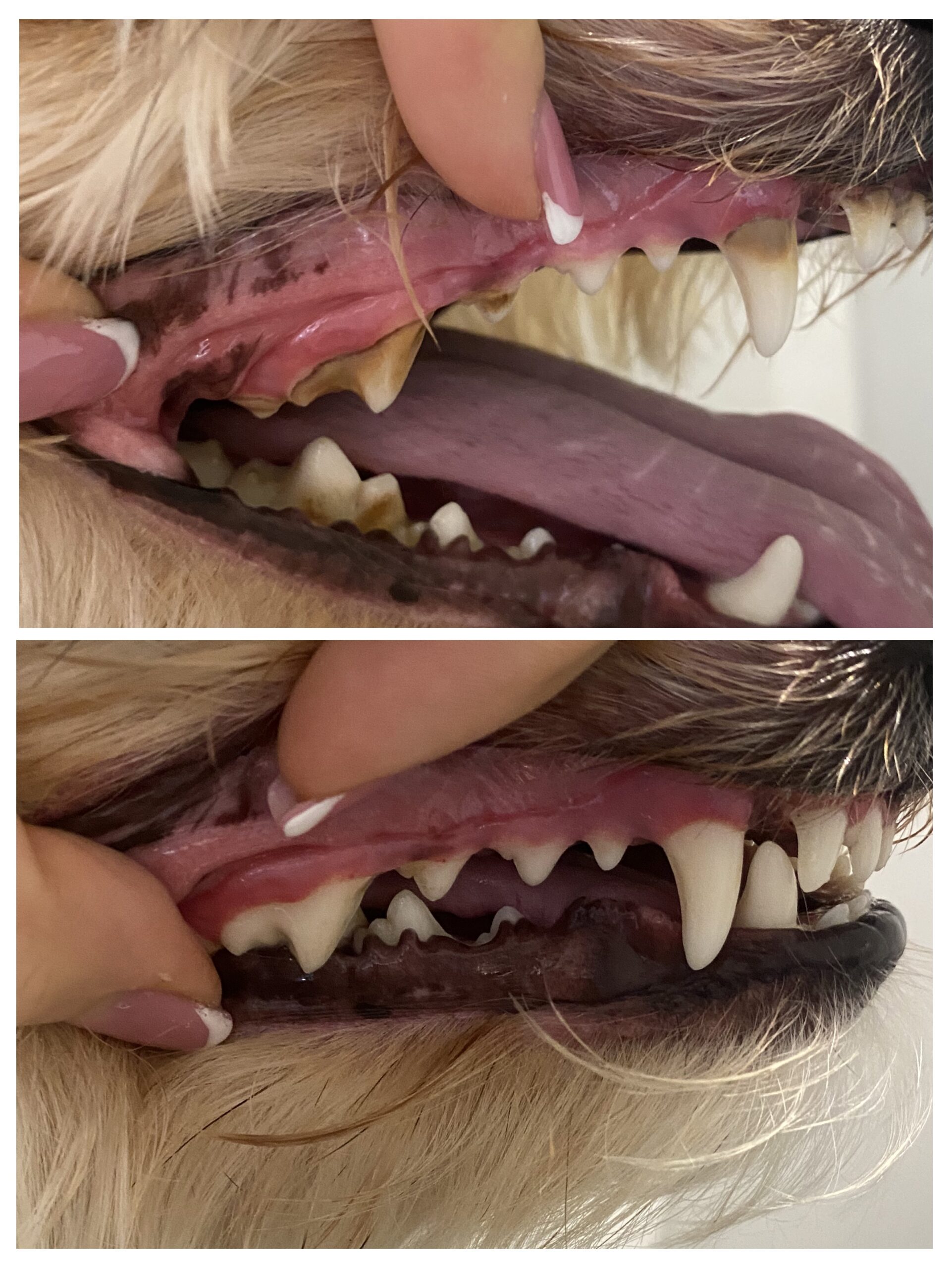 timestampe=1697727956